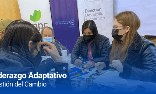 miniatura del curso